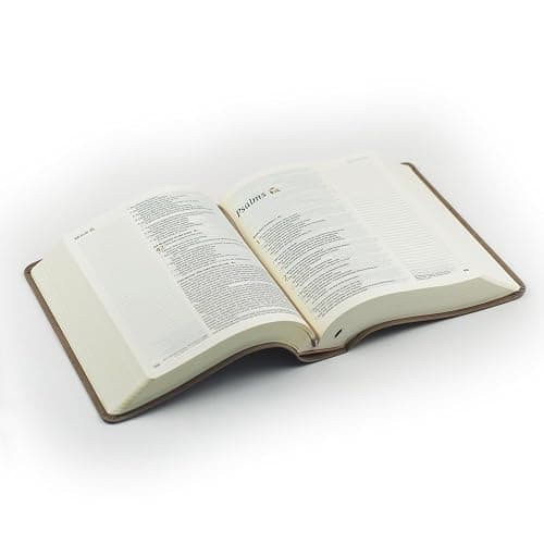 Hosanna Revival, New Living Translation, Notetaking Bible, Wide Margins, Taupe Leather-like Cover with Floral Design, Title: Marlo Theme thumbnail 7