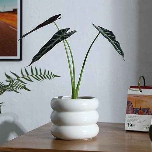 SANDYBAYTAS Ceramic Plant Pot Indoor, 6.5 Inch Flower Pot with Drainage Hole, Tiered Bubble Design Ceramic Planter for Home & Office Decor (White) thumbnail 2
