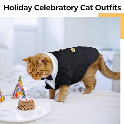 DENTRUN Cat Tuxedo Outfit, Sphynx Cat Costume Formal Suit with Bow Tie | Bow tie accessory, stylish tuxedo formal attire, for Sphynx & fluffy cats, wedding/party wear, XS-XXL. thumbnail 5