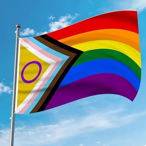 AhfuLife LGBTQ Flag 3x5 Ft, Large Pride Flag for Outside - Double Side with Brass Eyelets for LGBTQ Decor, Pride Day Party Wedding Decorations thumbnail 6