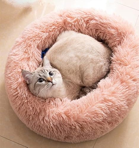Soft Bed for Kitty 🐈‍⬛  - Image 1