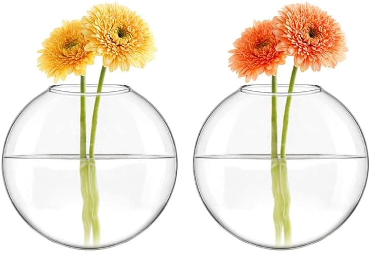 Mkono Wall Hanging Planter Propagation Station Glass Flower Vase for Hydroponics Plants, Bathroom, Home Office Living Room Decor Gift, Oblate Set of 3 thumbnail 7