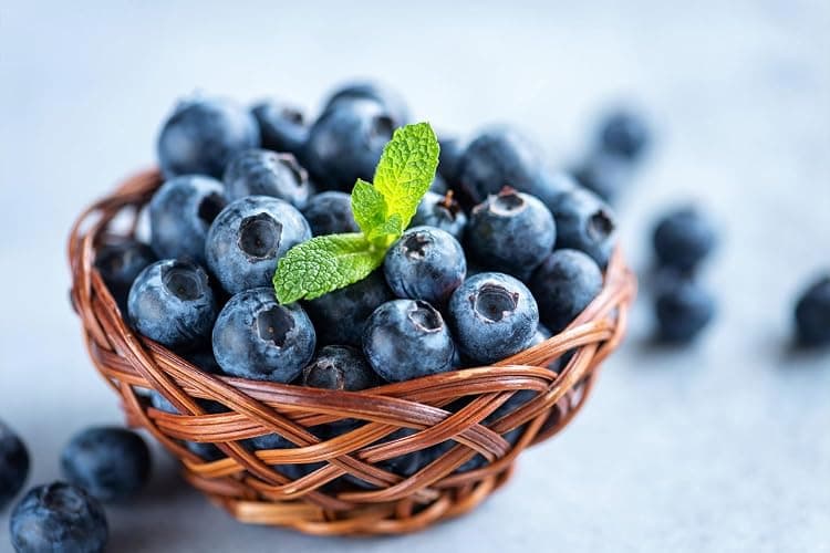 1200+ Mix Fruit Seeds Berry Seeds for Planting (9 Varieties) Heirloom Strawberry Raspberry Mulberry Apple Orange Blueberry Lemon Elderberry Cherry Seed for Home Garden thumbnail 6