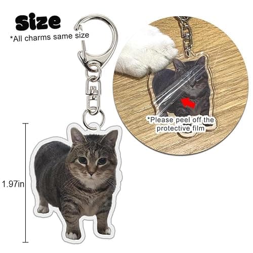 Funny Cat Meme Keychain - Cute Talking Cats Keyring Kawaii Charm for Purse Backpack Gifts thumbnail 2
