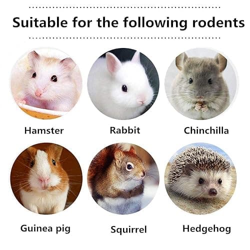 Dbeans Flourithing 150g 3 Types of Combined Chew Toys Molar Sticks Sweet Bamboo Apple Branch Timothy Grass for Pets Chinchilla Squirrel Gerbil Hamster Squirrel Guinea Pigs thumbnail 8