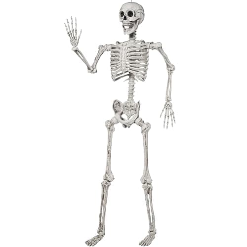 JOYIN 5.6 FT Halloween Posable Life Size Skeleton Full Body Realistic Bones with Movable Joints for Halloween Indoor and Outdoor Decoration Props Spooky Scene Party Decorations (White) - Image 1