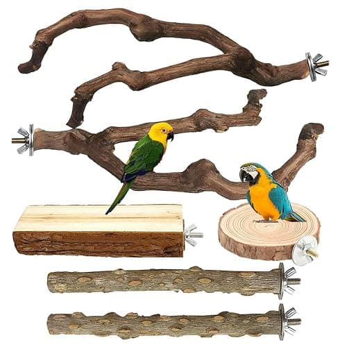 6 Pcs Parrot Perch Bird Perch Stand Set Budgie Toys Bird Cage Accessories Toys for Cockatiels Lovebirds Budgies Chewable (Natural, 10-12Inch) - Image 1
