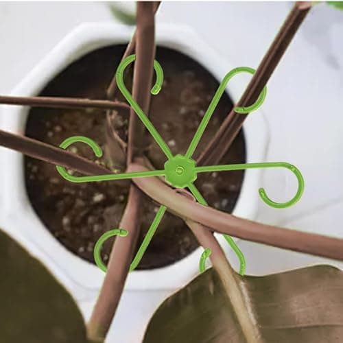 EMOOULI 16pcs Plant Support for Indoor Plants, Plant Stem Support, 4 Sizes Climbing Houseplant Stem Supports，Plant Support Rings, Leaf Holders, Indoor Plant Stakes Stabilizer Accessories  thumbnail 4