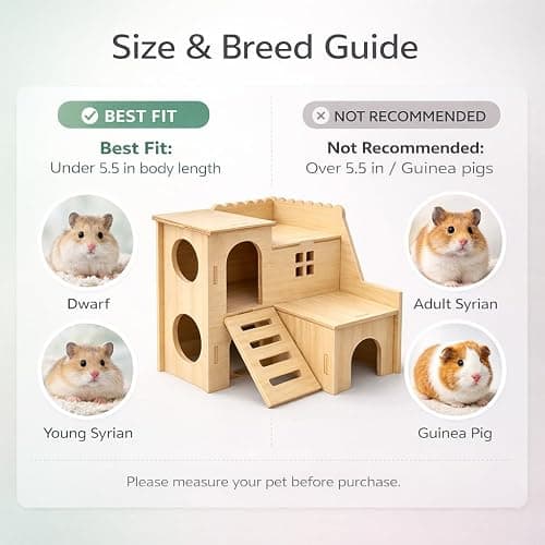 Tiny Hamster Maze Wood House Fun Slide House Double-Decker Hut for Dwarf Gerbil Mouse Mice Rat Small Animals(Only for Small Hamster) thumbnail 6