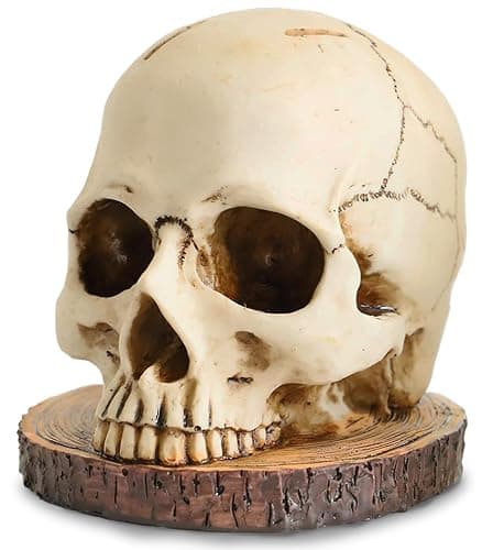 WALSIO Life Size Skull Knife Holder Resin Skull Shaped Knife Block for Kitchen Indoor Desk Decorations - Image 1
