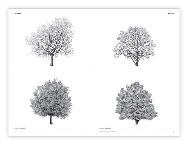 The Architecture of Trees thumbnail 8
