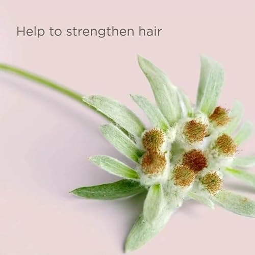 Hairitage Split End Rescue Gel Cream - Jojoba Protein Vegan Formula for Dry and Damaged Hair - Replenishes Moisture, Smoothes Split Ends for Silky Finish - 4 fl oz thumbnail 5