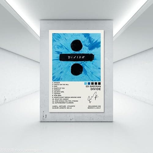 KUCOON Ed Sheeran Divide Album Cover Art Canvas 24x36inch(60x90cm) for Bedroom Decor thumbnail 7