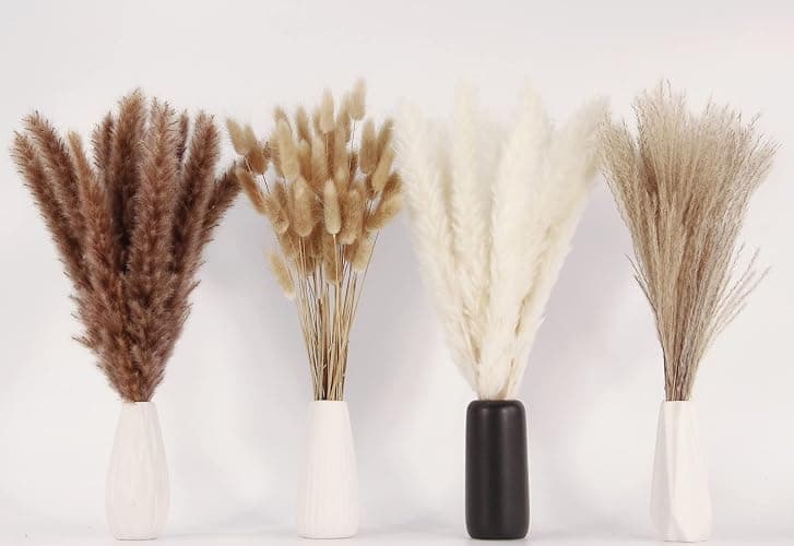 Dried Pampas Grass Decor, 100 Stems Pampas Grass Contains Bunny Tails Dried Flowers, Reed Grass Bouquet for Wedding Boho Flowers Home Table Decor, Rustic Farmhouse Party (17", White and Brown) thumbnail 4