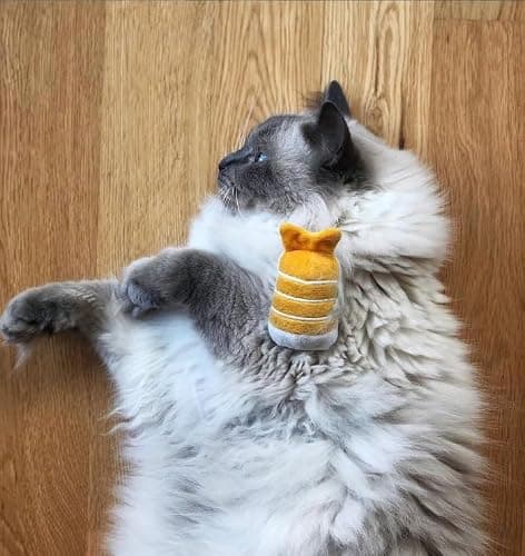 munchiecat Premium Organic Catnip Sushi Toy (1-pc) for Cats, Kittens - USA Made Durable Design for Pouncing, Batting and Play thumbnail 5