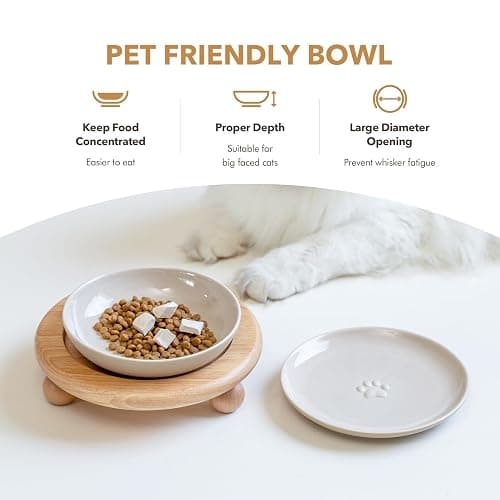 Havniva Cat Bowls Elevated 5.6” Ceramic Cat Bowl with Stand Whisker Friendly Shallow Cat Dishes, Cat Food & Water Bowl Set with Two Heights Options, Anti-Slip Raised Cat Food Bowl for Kitten thumbnail 5
