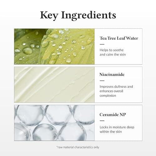 Dr.Althea 345 Relief Cream | Moisturizer for Soothing Recovery and Blemish Care with PDRN & Niacinamide | Korean Vegan Skin Care for All Skin Types, 1.69 Fl Oz (Ver.2 - Pack of 1) thumbnail 7