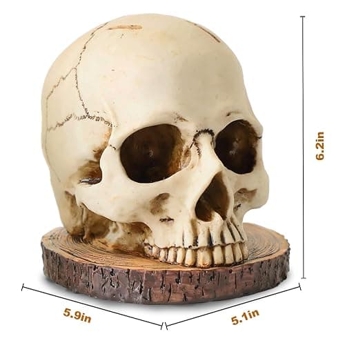 WALSIO Life Size Skull Knife Holder Resin Skull Shaped Knife Block for Kitchen Indoor Desk Decorations thumbnail 3