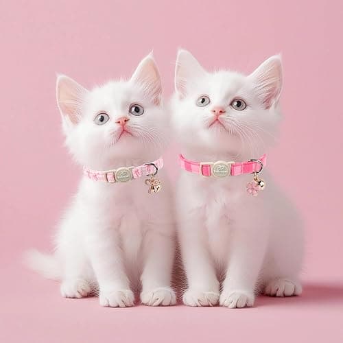 Babole Pet 2 Pack Pink Cat Collars - Spring Summer Breakaway Cat Collar with Bell, Bow and Flower Pendant, Adjustable Kitten Collars for Girl Cats, Cute Pink Plaid &Bow thumbnail 2