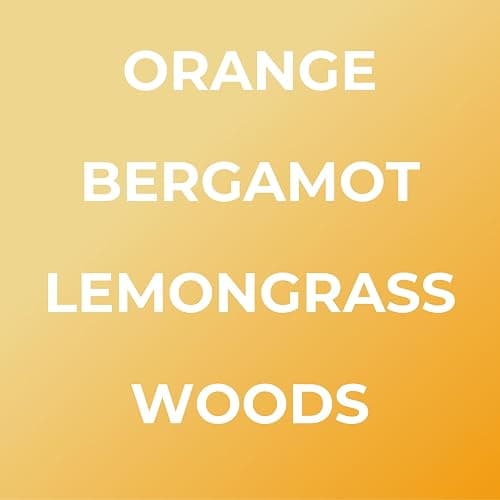 Bright Spot 120 Day Car Air Freshener - Long Lasting Citrus, Bergamot, Woods, Amber Scent for Auto and Home - Non-Toxic Refillable Hanging Diffuser thumbnail 3