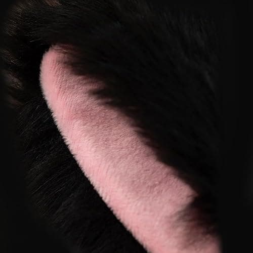Cat Ears Headband For Women & Girls - Faux Fur Ears With Bells, Perfect For Cosplay & Birthday Party thumbnail 5