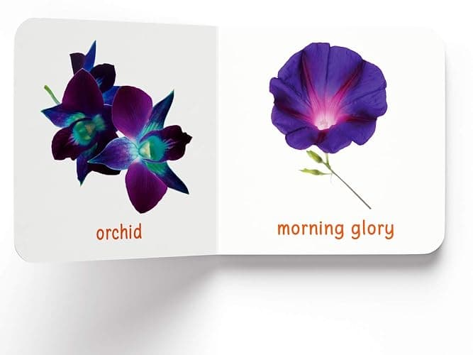 My First Book of Flowers: First Board Book thumbnail 6