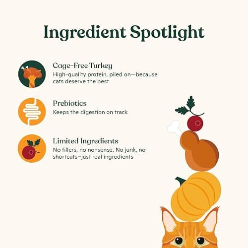 Made by Nacho Bone Broth Cat Food Topper for Hydration and Picky Eaters - Add Protein and Flavor to Your Dry Cat Food – Supports Optimal Nutrition, Digestion, Skin & Coat, 11 oz. Turkey thumbnail 4