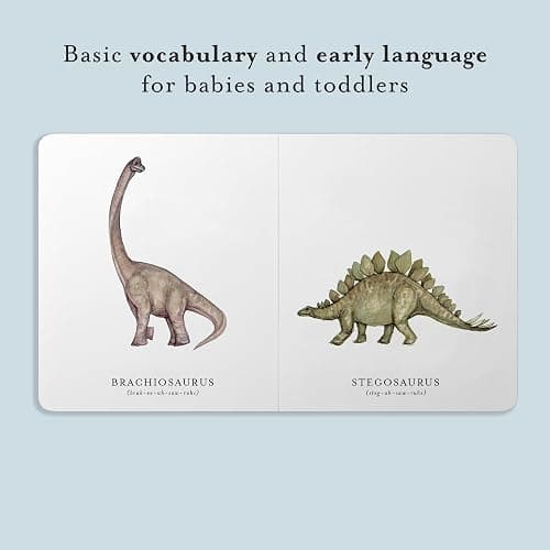 Our Little Library Vol. 3: Dinosaurs, Space, Tools, Bugs, and Sports Board Book Set for Boys & Girls (Tabitha Paige Children's Book Series) thumbnail 3