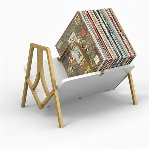 ZEXVIDA Vinyl Record Storage Rack for 50 LPs, Vinyl Record Album Holder Heavy-Duty Record Storage Shelf with Handles, Record Holder, Multi-Purpose Organizer - Image 1