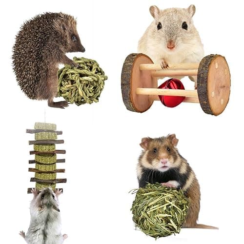 ERKOON New 12 Pack Hamster Chew Toys Gerbil Rat Guinea Pig Chinchilla Chew Toys Accessories, Natural Wooden Dumbbells Exercise Bell Roller Teeth Care Molar Toy for Rabbits Bird Rabbits Hamster Gerbil thumbnail 4