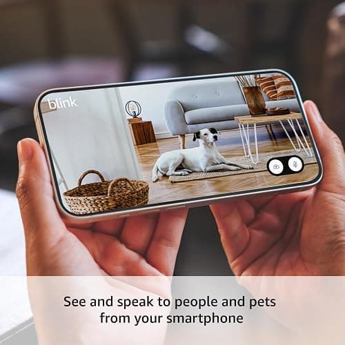 Blink Mini 2 — Home Security & Pet Cameras with HD video, color night view, motion detection, two-way audio, and built-in spotlight — 2 cameras (White) thumbnail 2