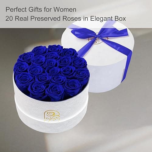 Preserved Roses Flower Box, Luxury Velvet Box with 20 Roses, Preserved Flowers, Romantic Gift for Her, Wife, Girlfriend, Birthday Anniversary Christmas (Royal Blue) thumbnail 3