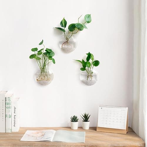 Mkono Wall Hanging Planter Propagation Station Glass Flower Vase for Hydroponics Plants, Bathroom, Home Office Living Room Decor Gift, Oblate Set of 3 thumbnail 2