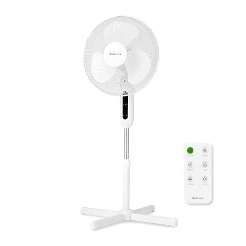 Fan - Image 1
