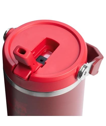 Stanley IceFlow Flip Straw Tumbler with Handle | Twist On Lid and Flip Up Straw | Leak Resistant Water Bottle | Insulated Stainless Steel | BPA-Free thumbnail 2