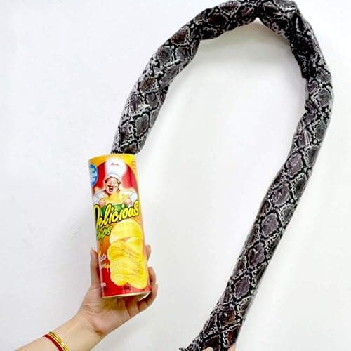 Prank Gifts for Kids,Magic Potato Chip Cans Fries Toys April Fool Day Halloween Party Decoration Fun Toys thumbnail 6
