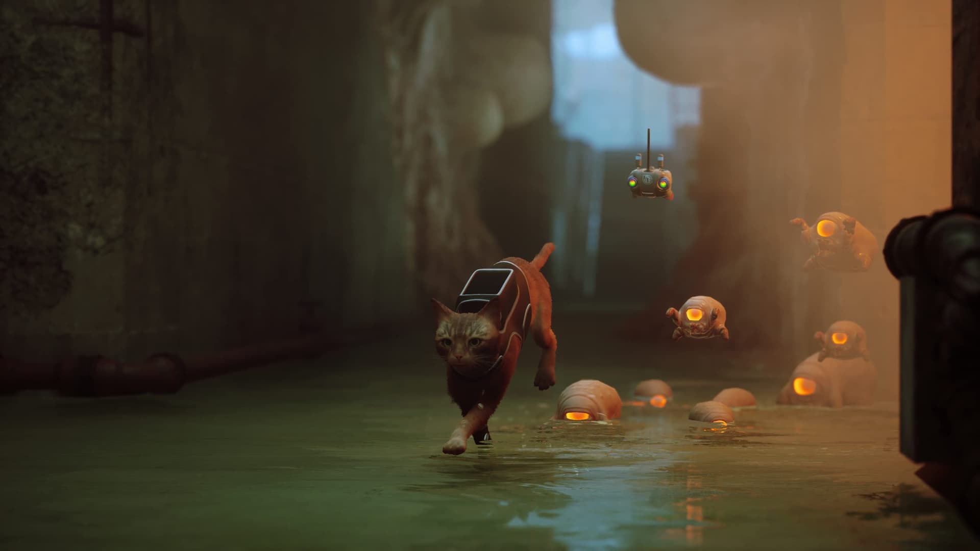 Skybound Stray for Xbox One and Series X thumbnail 13