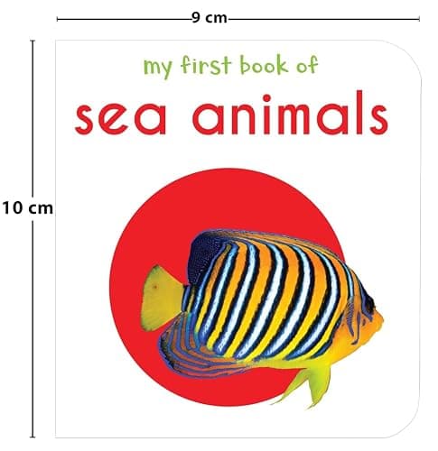 My First Library: Boxset of 10 Board Books for Kids thumbnail 6