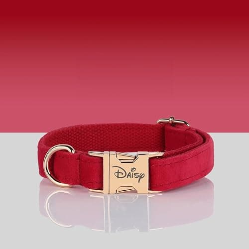 Velvet Harness Set, Gift for Pet Owners, Custom Dog Collar Personalized with Name and Phone Number, Custom Collar and Leash for Dogs, Engraved Metal Buckle Collar (X-Small) thumbnail 6