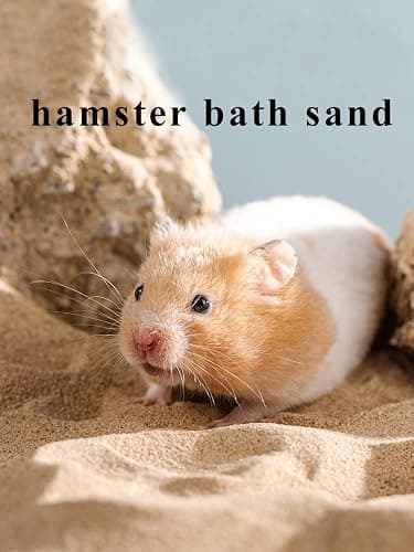 JFWOD Hamster Bath Sand, 3lb Dust Free Desert Sand or Potty Litter Sand for Hamster Chinchillas Gerbil Syrian Mice Small Animals(Beige) thumbnail 2