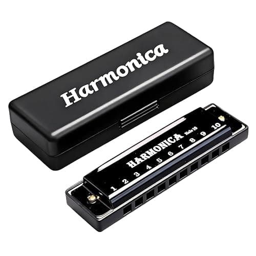 Harmonica Key of C 10 Hole, Diatonic Mouth Organ Harmonica in C with Case, Titanium Panel Hand Tuned Reeds for Beginners Adults Kids Students Friends Professional Player (Black) - Image 1