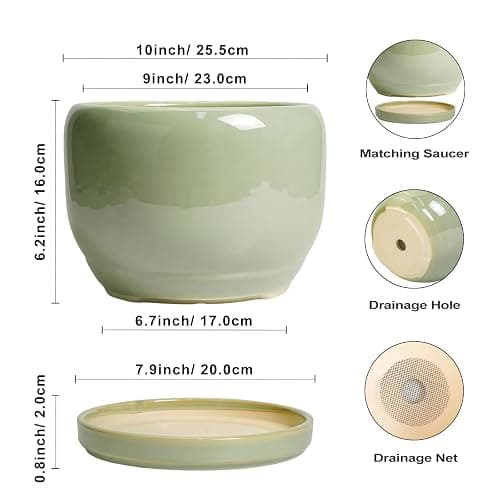 SQOWL Ceramic Planter - 10 Inch Pot for Plants Indoor Outdoor, Round Modern Flower Pot with Drainage Hole and Saucer, Decorative Large Planter, Office Decor, Plant Lovers Gifts, Green - 10 Inch - Glossy Green thumbnail 3