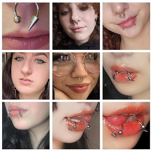 Zolure 16g Lip Rings Horseshoe Labret Jewelry Lip Barbell Ring Spike Snake Bite Piercing Jewelry Tragus Helix Earrings Studs Medusa Piercing for Women Men thumbnail 5