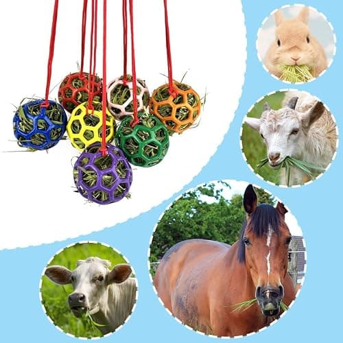 DAFORERAL Farm Stall Hanging Feeder Toy Ball for Horses, Goats, Sheep – Durable TPR Feeding Ball, Hay Feeder for Animal Enrichment, Stretch-Resistant Design (Pink) thumbnail 6