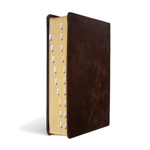 CSB Study Bible, Brown Genuine Leather, Indexed, Red Letter, Study Notes and Commentary, Illustrations, Articles, Word Studies, Outlines, Timelines, Easy-to-Read Bible Serif Type thumbnail 2