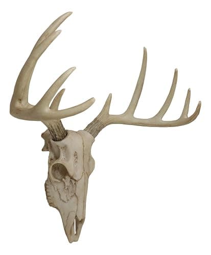 Ebros Gift Rustic Hunter Deer 10 Point Buck Skull Trophy Antlers Wall Mounted Plaque Decor Figurine 14.25" Long Hunter's Antler Rack Theme Deer Buck Hunting Skulls Trophies Hanging Sculpture thumbnail 4