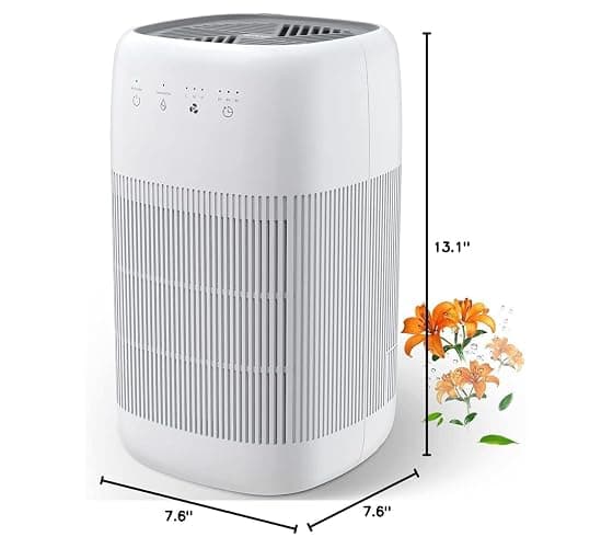 Afloia Air Purifier & Dehumidifier thumbnail 4