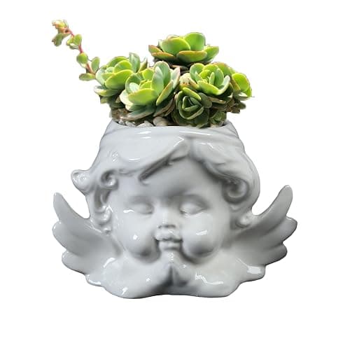 Vaguelly Cute Succulent Planter Angel Statue Head Face Planter Pot Ceramic Flower Pot Cactus Container with Drainage Hole Pens Holder for Indoor Outdoor Garden Random Style White - Image 1