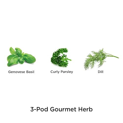 AeroGarden Gourmet Herb Seed pod Kit - Herb Seeds for AeroGarden Indoor Garden, 3-Pod thumbnail 3