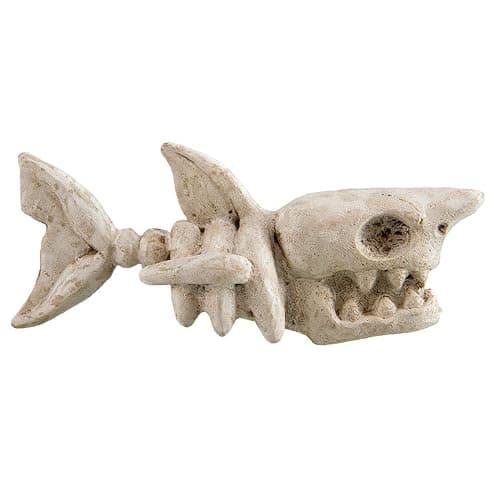 Underwater Treasures Shark Bones - Image 1